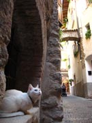 arco