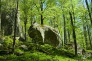 Довбуш. Праздник весны (май 2009)