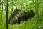 Довбуш. Праздник весны (май 2009)